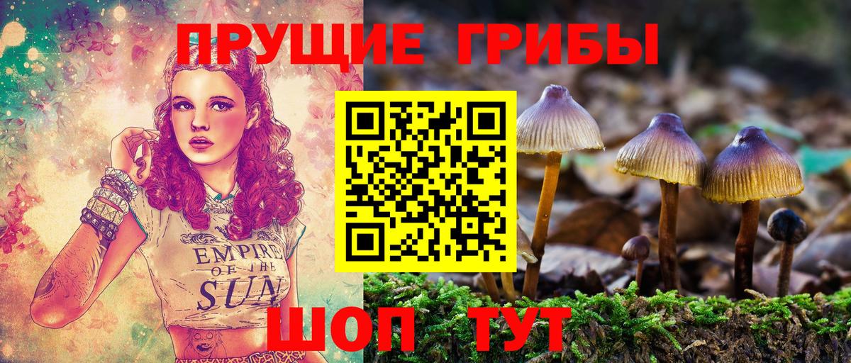 Псилоцибиновые грибы Magic Shrooms  Вход с VPN  Кудрово 